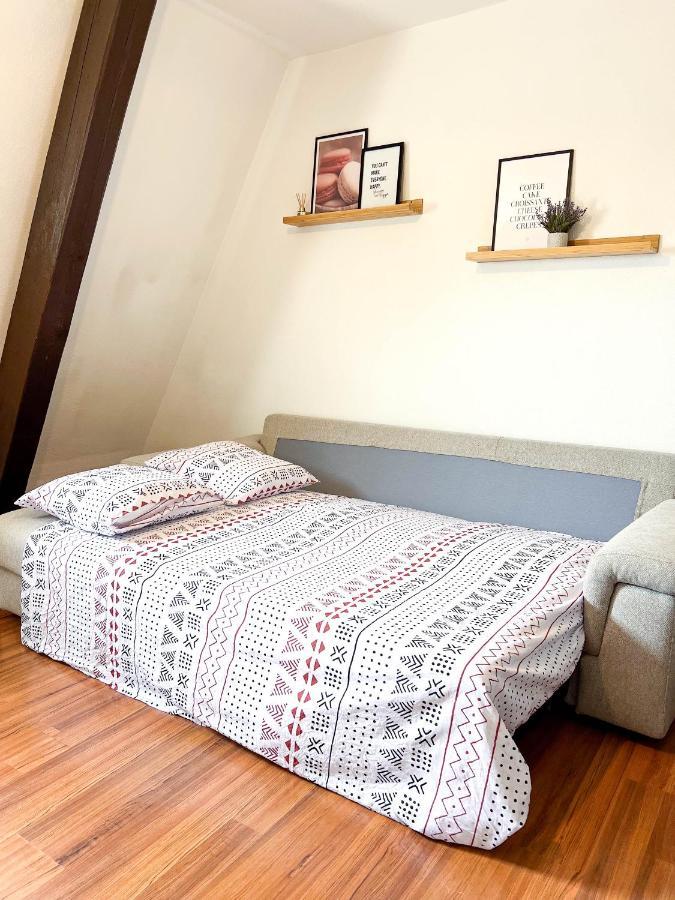 Appart'Hotel Le Dornach - Proche Gare Et Autoroute ミュルーズ エクステリア 写真