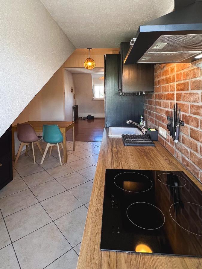 Appart'Hotel Le Dornach - Proche Gare Et Autoroute ミュルーズ エクステリア 写真